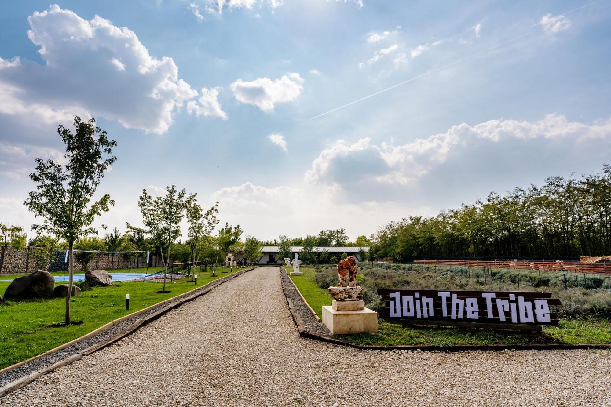 ホテル The Tribe Alpaca Retreat Brăneşti エクステリア 写真