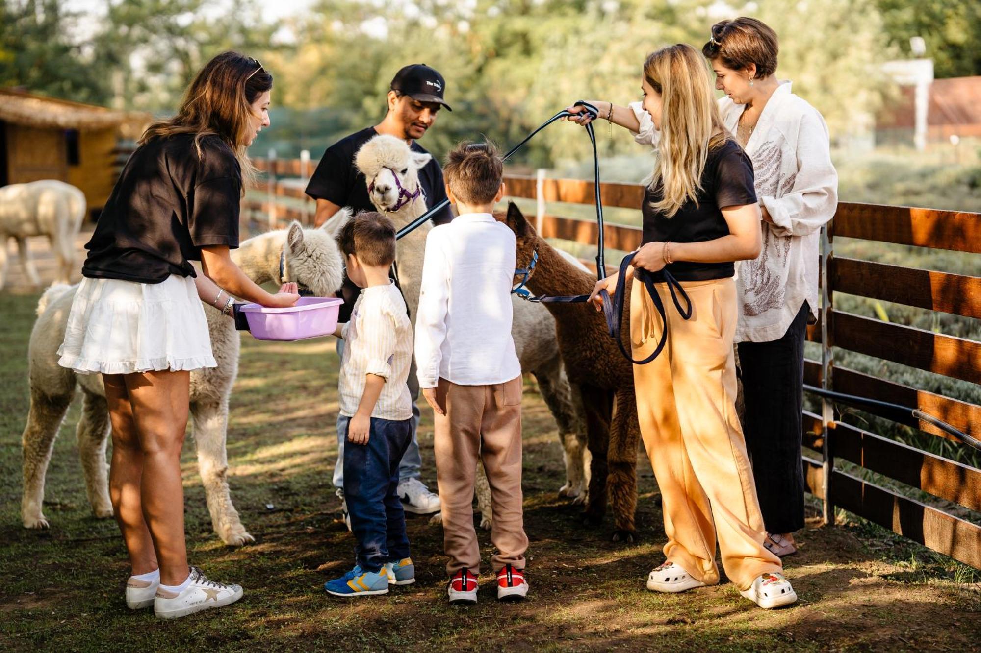 ホテル The Tribe Alpaca Retreat Brăneşti エクステリア 写真